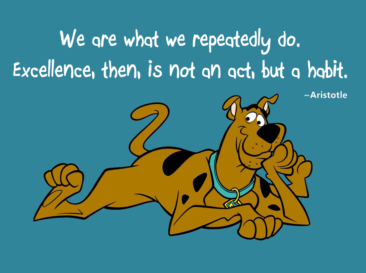 We-Are-What-We-Repeatedly-Do-Orlando Espinosa