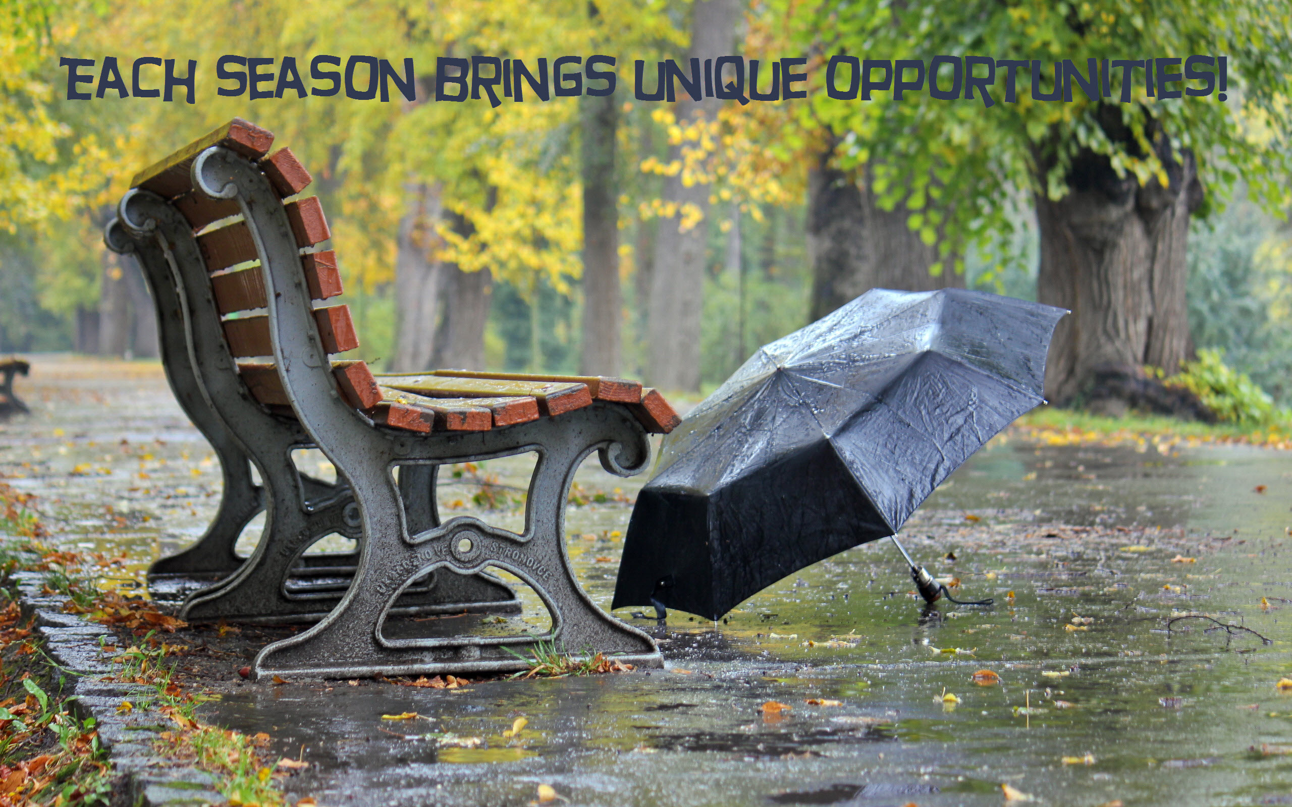seasons of life-orlando espinosa