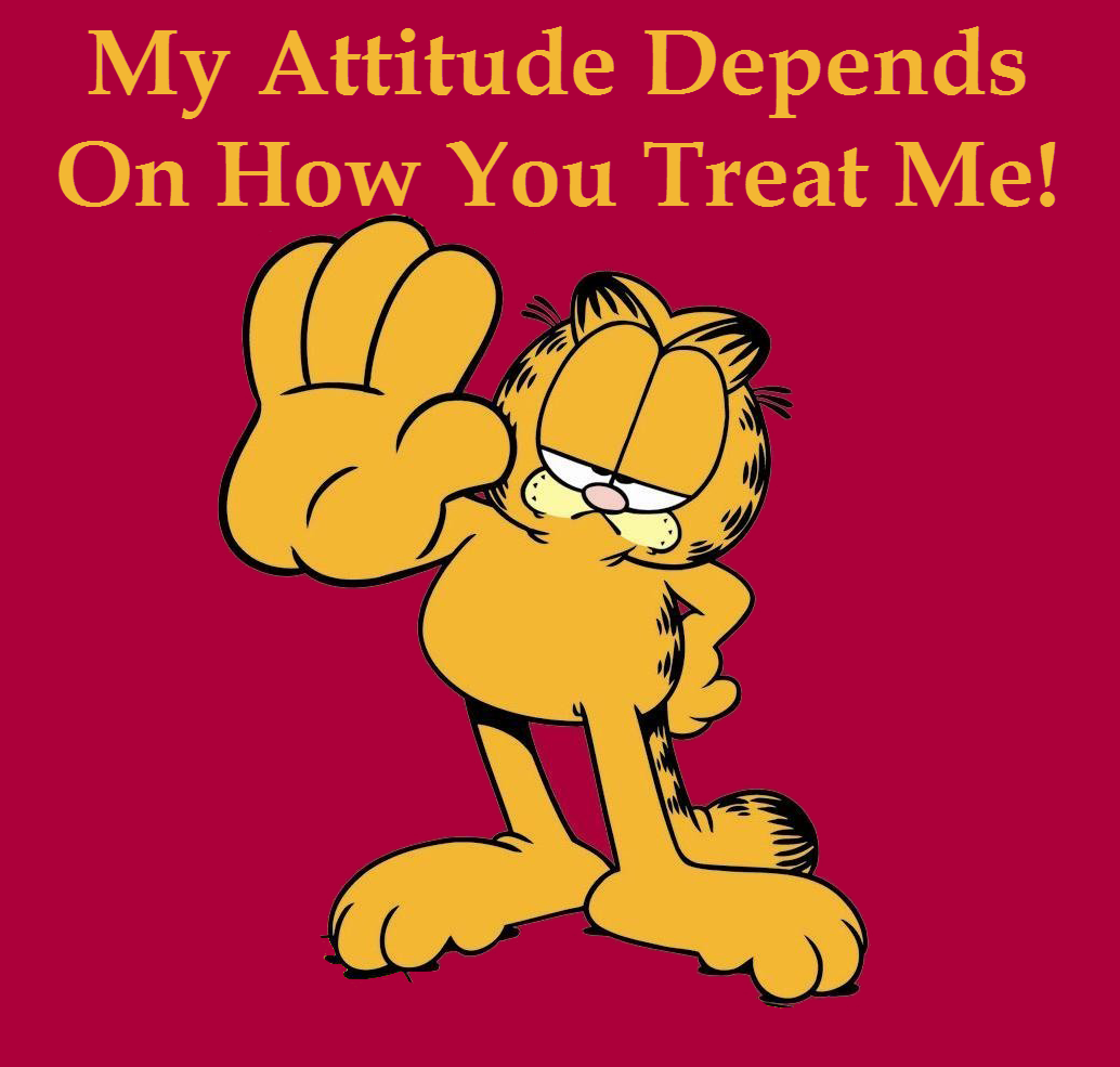 My attitude orlando espinosa garfield treat others