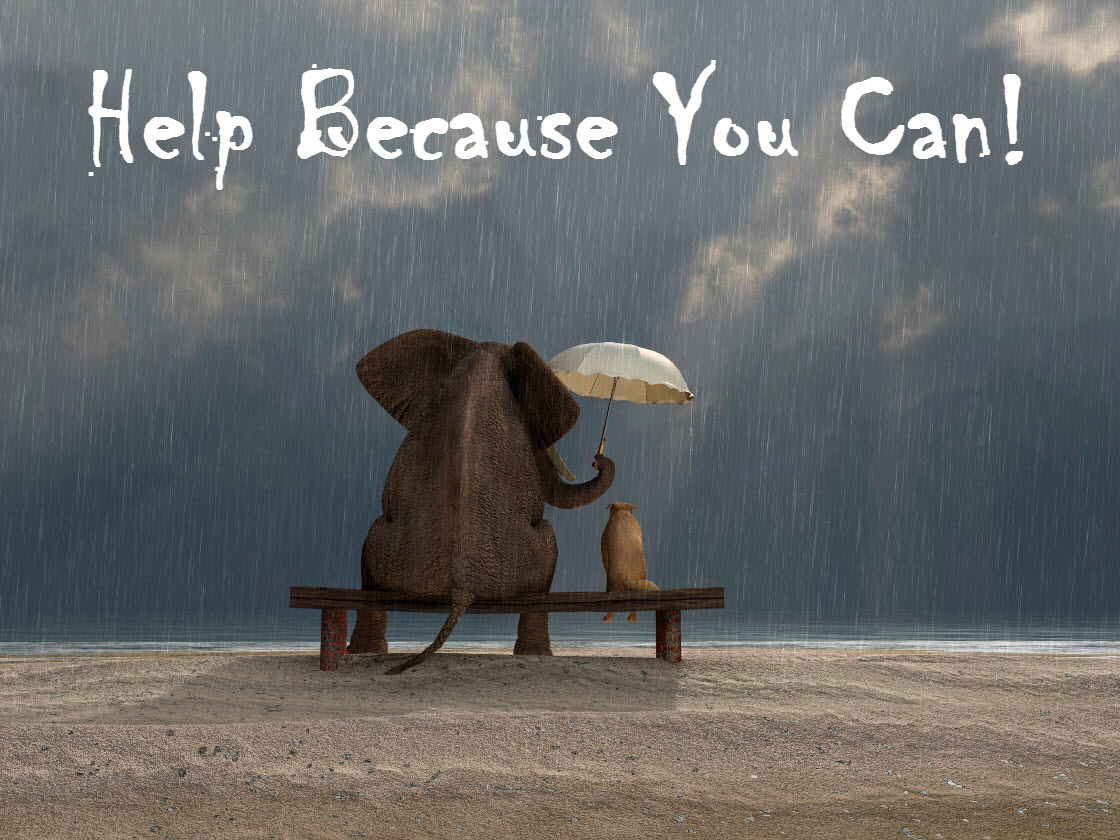 help orlando espinosa Elephant-and-Dog