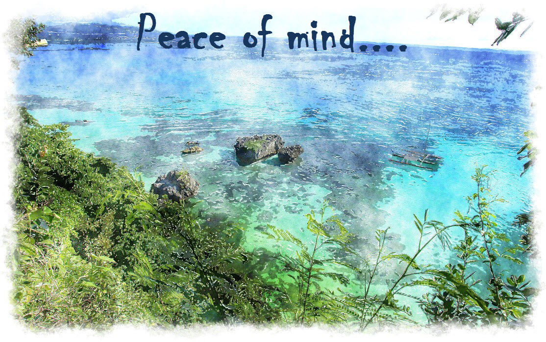 a commodity peace of mind orlando espinosa
