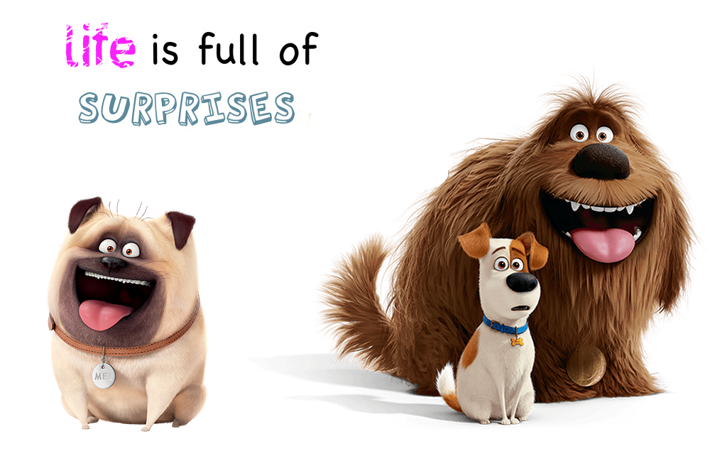 full-of-surprises-orlando-espinosa